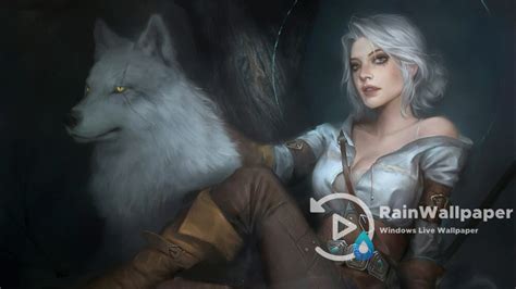 Ciri Wolf Witcher by Jimking on DeviantArt