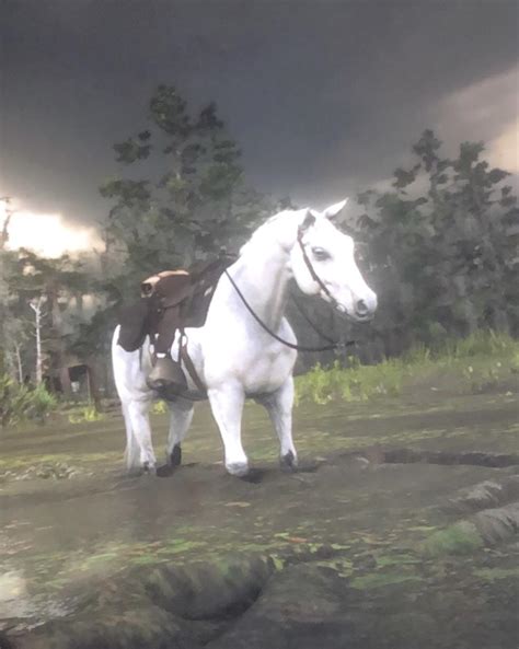 ARTAX!!!! You’re letting the sadness of the swamp get you! : r/reddeadredemption2