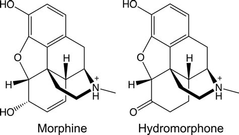 Molecular structures of morphine and hydromorphone. | Download ...