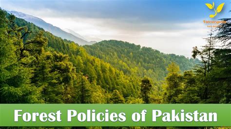 Forest Policies of Pakistan - A Critical Analysis, Suggestions ...