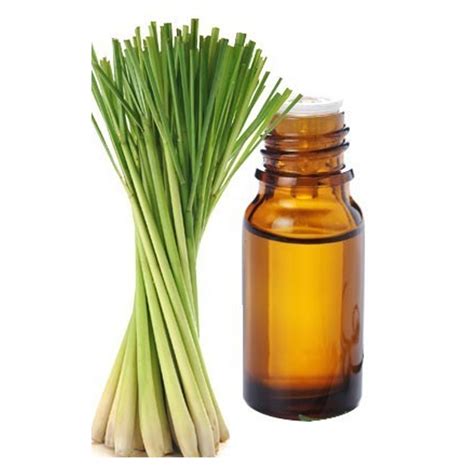 100% Pure Lemongrass Oil, Rs 1350 /kg A.G.Industries | ID: 8951847573