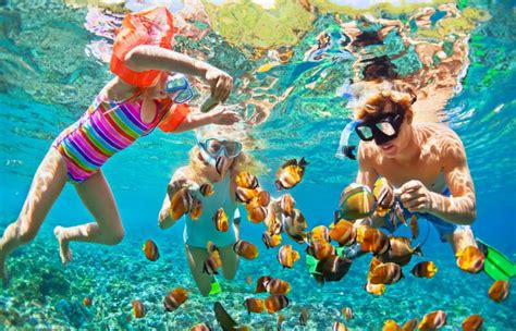 Book Andaman Nicobar Tour Packages - A Coral Paradise of India