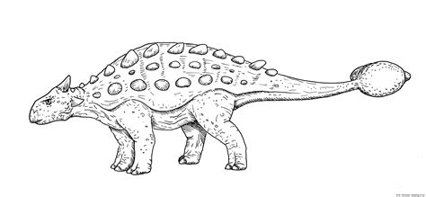 Ankylosaurus draw – drawing-of.eu