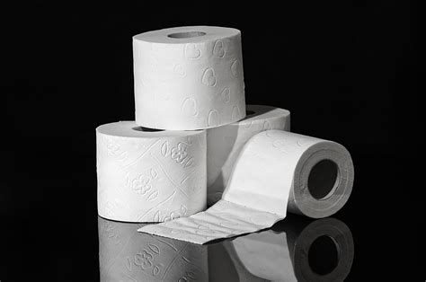 The Dirty History: Is Toilet Paper Biodegradable