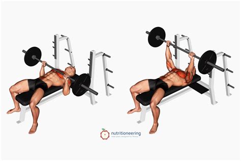 11 Barbell Chest Exercises With or Without Bench | Nutritioneering