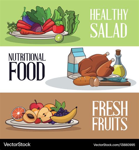 Brochure food healthy nutrition fresh Royalty Free Vector