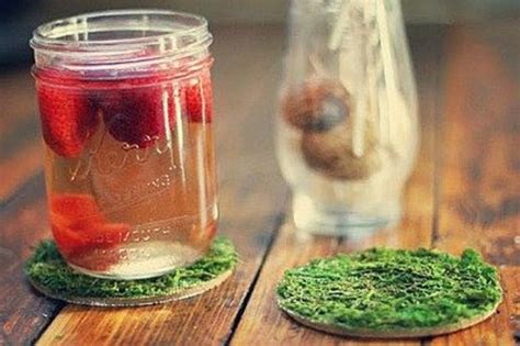 41 Outstanding Moss Craft Ideas - FeltMagnet