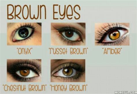 Brown Colored Eyes ️ So my eye color is Onyx~ but I want Amber~!! | Eye color chart, Eye color ...