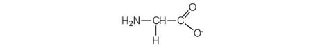 18.2: Reactions of Amino Acids - Chemistry LibreTexts