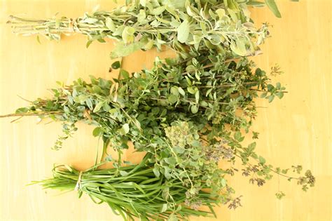 Drying Herbs: An Easy How-to for the Hurried Homemaker - elizabeth clare