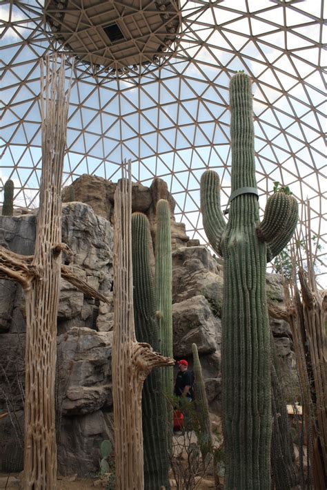 Henry Doorly Zoo and Aquarium in Omaha, NE. Inside the Desert Dome ...