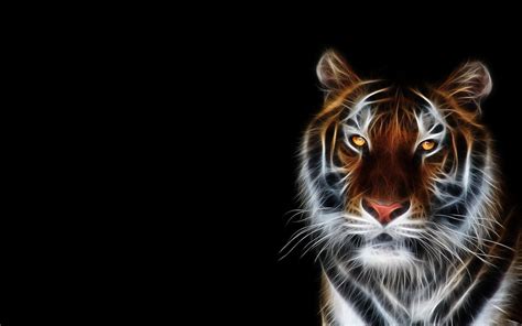 Black Tiger Wallpapers - Wallpaper Cave