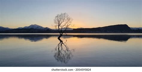 1,821 Wanaka Tree Sunrise Images, Stock Photos & Vectors | Shutterstock