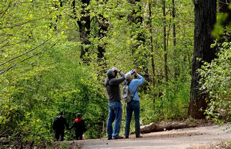 Birdwatching - Prospect Park Alliance