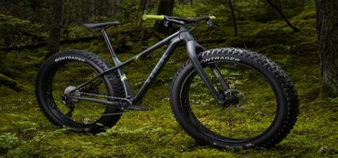 10 Best Fat Tire Mountain Bikes in [current_year] (Review)