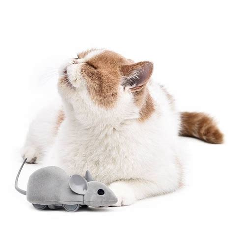 Cat Electric Mouse with App Control - Adorable Darling