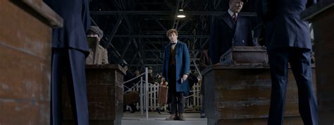 Newt Scamander - Pottermore