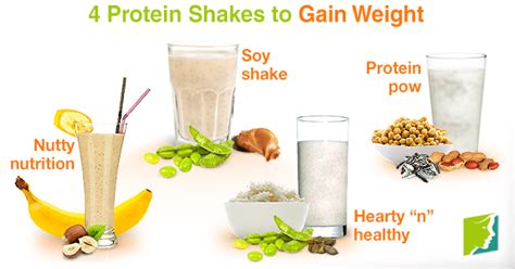 4 Protein Shakes to Gain Weight | Menopause Now