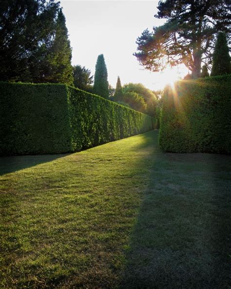 hedge maze | Magical garden, Dream landscape, Castle garden