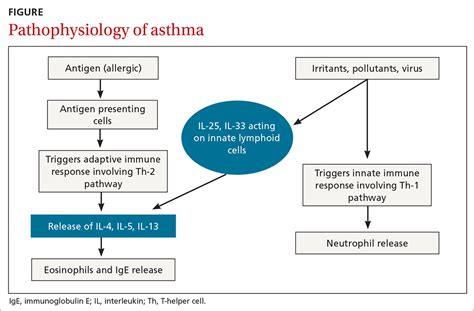 Asthma: Newer Tx options mean more targeted therapy | MDedge Family Medicine