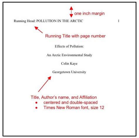 APA Format: Everything You Need to Know Here - EasyBib