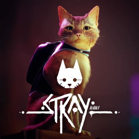 Stray Game Wallpapers - Wallpaper Cave