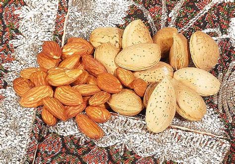 bitter almond,Iran price supplier - 21food