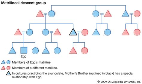 Kinship - Descent, Lineage, Family | Britannica