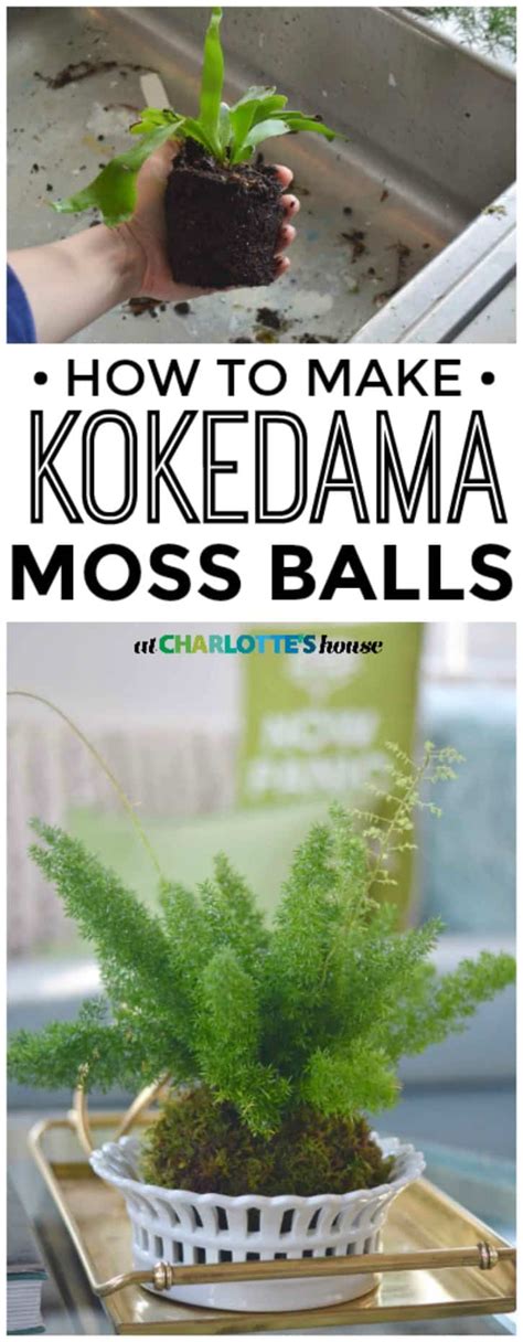 DIY Kokedama Moss Balls - At Charlotte's House