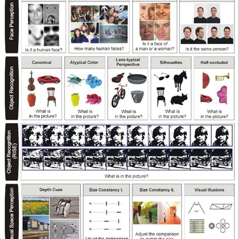 Classification of Types of Visual Agnosia, their Underlying ...