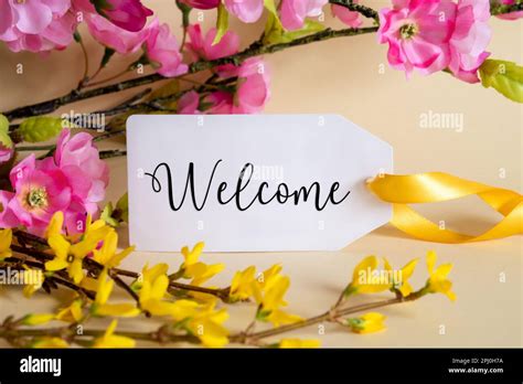 Spring Flower Decoration, Label With English Text Welcome Stock Photo ...