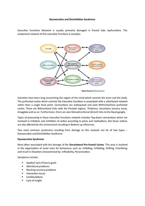 Dysexecutive and Disinhibition Syndrome - Dysexecutive and Disinhibition Syndrome Executive ...