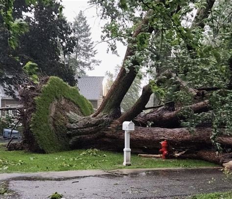 City declares state of emergency due to storm damage | News, Sports ...