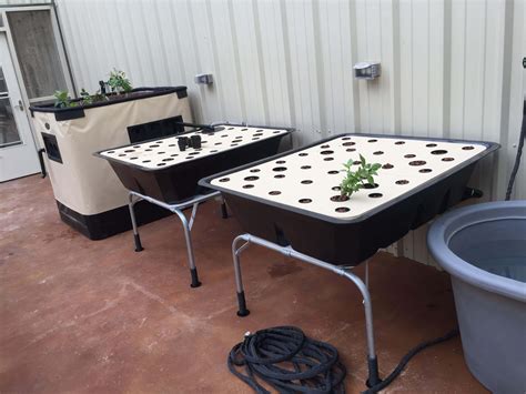 Aquaponics system in north Texas with a gravel bed and two raft beds. JamesA | Aquaponics ...