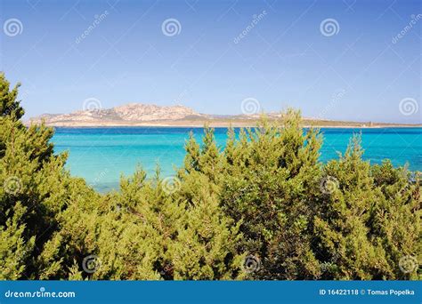 La Pelosa beach 10 stock photo. Image of people, flower - 16422118