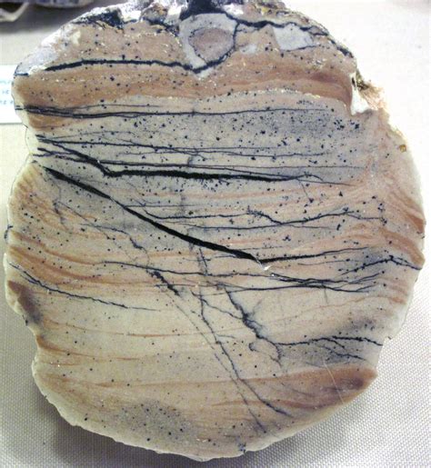 Agate-filled geode (Las Choyas Geode Deposit, near-latest … | Flickr
