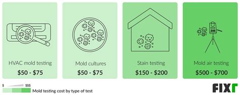 2022 Mold Inspection Cost | Mold Testing Cost