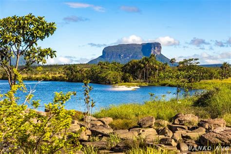 Imponente Salto Angel Parque Nacional Canaima Venezuela 2022