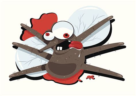 Squashed Bug Illustrations, Royalty-Free Vector Graphics & Clip Art - iStock