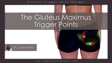 Gluteus Maximus Trigger Points: A Real Pain in the Rear End | TriggerPointTherapist.com