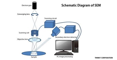 Evaluation of materials using scanning electron microscope (SEM) | The global standard for ...