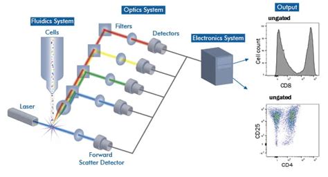 Flow Cytometry Products and Resources: Novus Biologicals