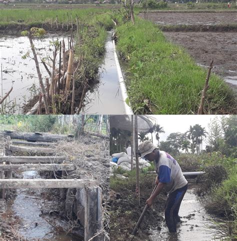 Puluhan Hektare Sawah Butuh Pembangunan Saluran Irigasi - Gana News