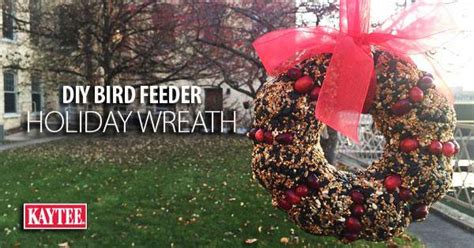 DIY Holiday Wreath Bird Feeder