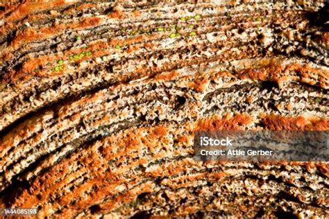 Vredefort Dome Geology Stromatolite 04 Stock Photo - Download Image Now ...