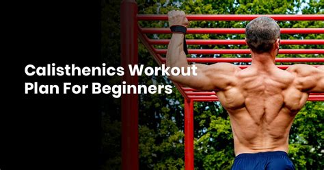 Calisthenics Workout Plan For Beginners » BodyweightHeaven