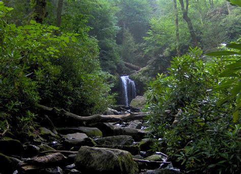 Roaring Fork Motor Nature Trail: Gatlinburg's Ultimate Scenic Drive