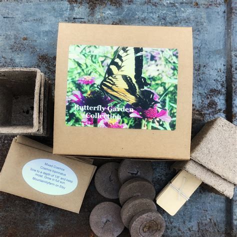 Butterfly Garden Kit Butterfly Plant Seeds and Garden | Etsy