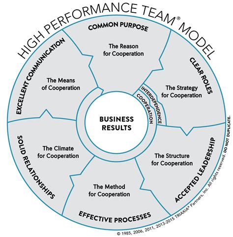 The High Performance Team® Model - Triaxia Partners