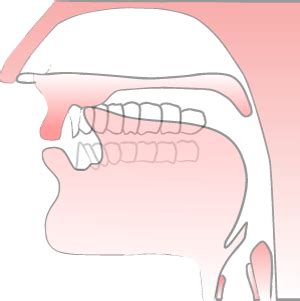 Pronounce n sound — Pronuncian: American English Pronunciation